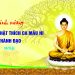 Bạc Liêu: Kính mừng ngày Đức Phật Thích Ca Mâu Ni thành đạo