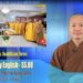 Cà Mau: Weekly English News – SS.08 (Bản tin Phật sự tiếng Anh)
