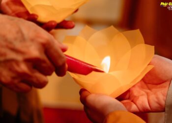 Cà Mau: Hoa đăng mừng vía Phật A Di Đà chùa Long Phước