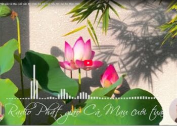 Cà Mau: Radio Phật giáo Cà Mau cuối tuần