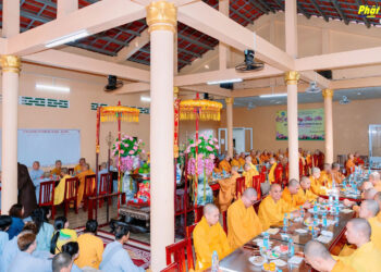 Cà Mau: Họp mặt truyền thống chư Tôn đức Tăng Ni Xuân Bính Ngọ 2026 tại Tổ đình Long Phước