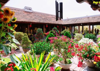 Dọn dẹp vọng tâm – Đón một mùa xuân không khởi niệm