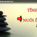 Chương trình “Thiền tập chữa lành” | Kỳ 3