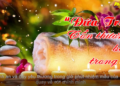 Chương trình “Thiền tập chữa lành” | Kỳ 5