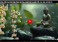 Cà Mau: Diễn đọc Kinh Diệu Pháp Liên Hoa, Quyển thứ IV, phẩm ”Đề – bà – đạt – đa” thứ 12