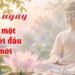 Chương trình “Thiền tập chữa lành” | Kỳ 7