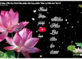Cà Mau: Diễn đọc Kinh Diệu Pháp Liên Hoa, Quyển thứ VI, phẩm “Như Lai thần lực” thứ 21