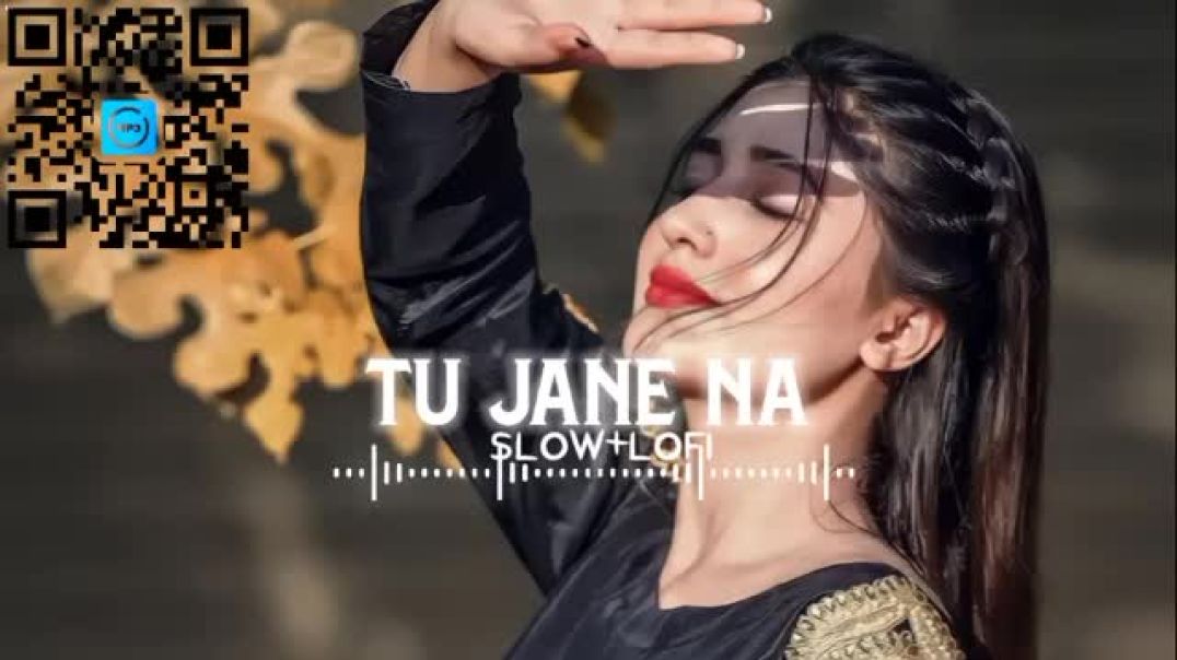 Tu Jane Na Slowed X Reverb Lofi Songs Hindi song Lofi