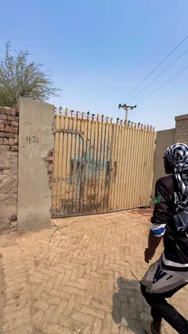 comdey video