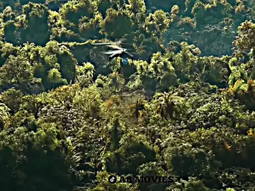 movie clip