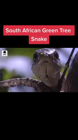 Interesting videos