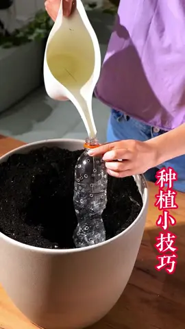 Huzairi videos