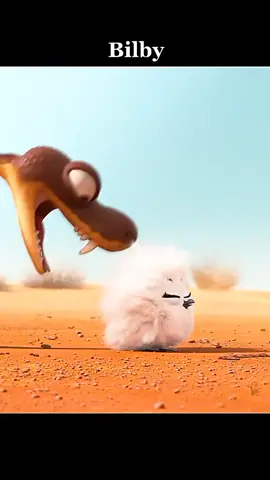 Bilby animation comedy
