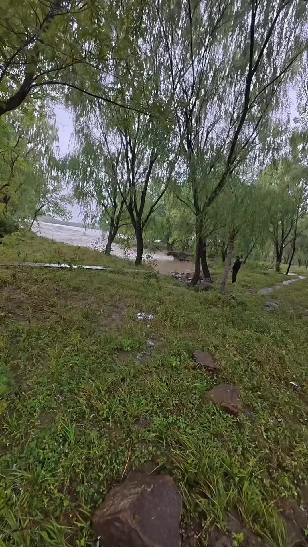 New York video