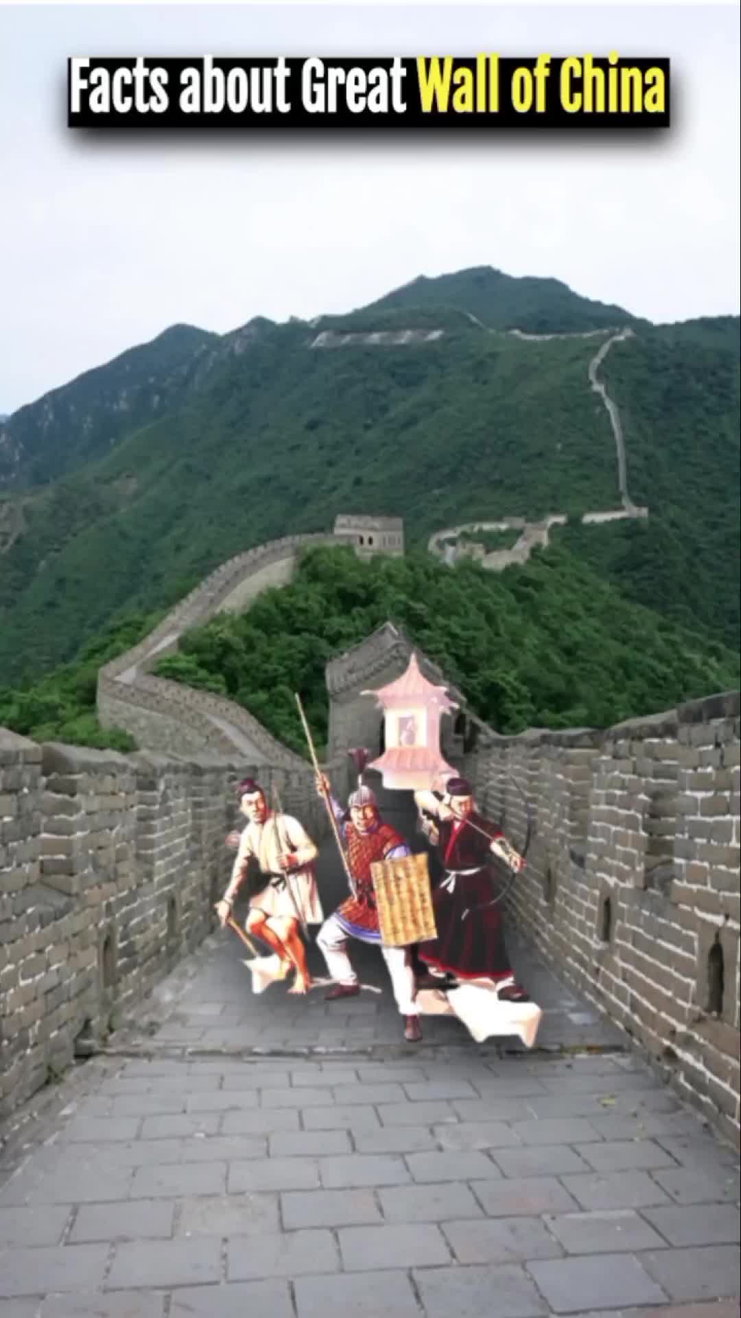 Interesting videos