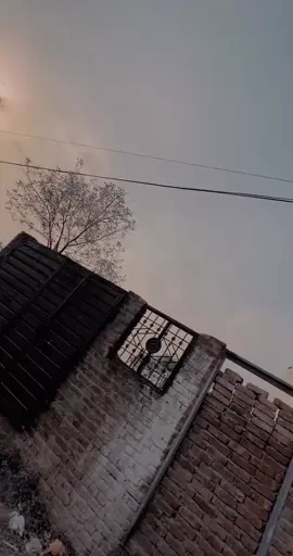 video funny