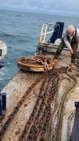 乡INTERESTING video