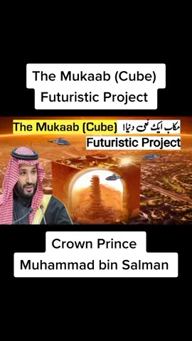 Interesting videos