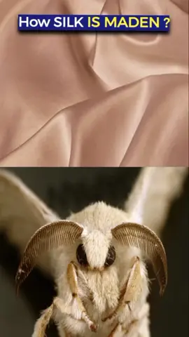 Interesting videos