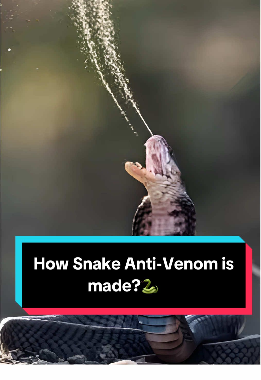 Interesting videos