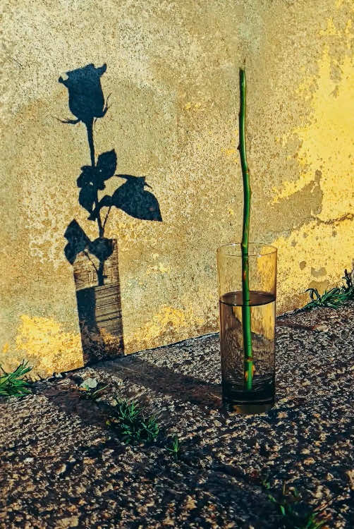 Art_