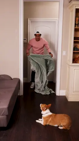 Zach King