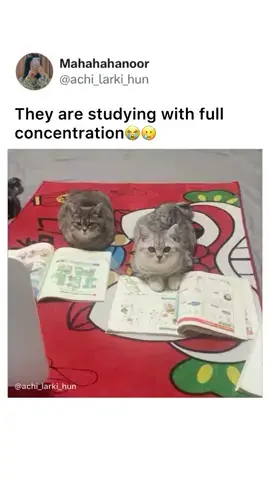 😂😂😂