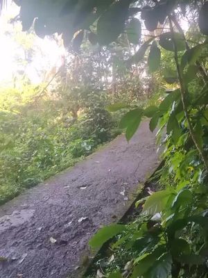 Tragedi saat melintasi jalan tikungan tajam #fypberanda #fypberandatiktok #fypberandamu #fypberandav