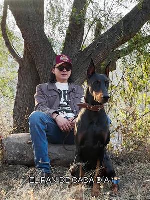 ⁣Pero querías un Doberman 🤷🏻‍♂️  #Doberman #Dog #Viral #Karen #K9 