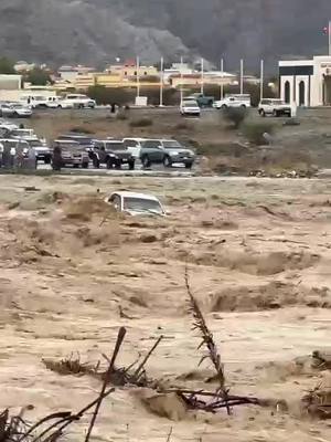 ⁣الإمارات : وادي الحلاه في الفجيرة يجرف سيارة  الله يحفظ 