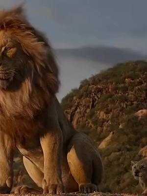 ⁣#viralizar #reflexaododia #deus #motivacao 