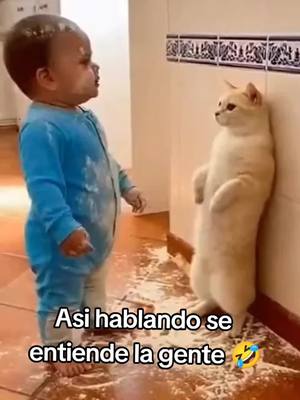 ⁣Asi hablando se entiende la gente 🤣