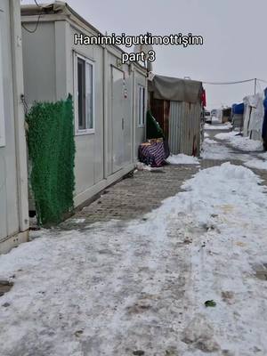 ⁣Yoğun istek üzerine geldik! part 3 akdhkd #köpek #kedi #hanimisiguttimottişim 