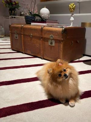 ⁣O poder de um tapete no ambiente. A diferença é imediata ✨ Mais conforto, mais presença e muito