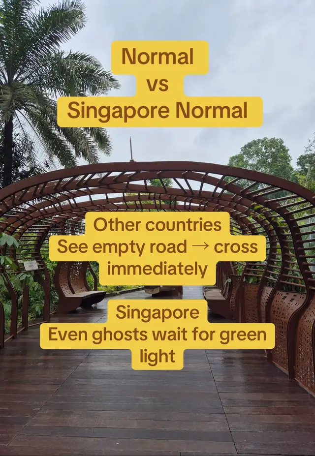 ⁣Singapore is one of those places where everyday life feels… slightly unreal. If you live here, you