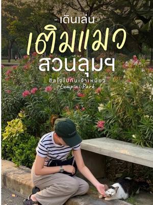 🐈‍⬛ เดินเล่นกับแมวจร – สวนลุมพินี . ส