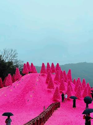 ⁣HERB ISLAND KOREA 🩷 #pinkisland #festival #froyou #1millionaudition #herbislandsouthkorea🇰🇷