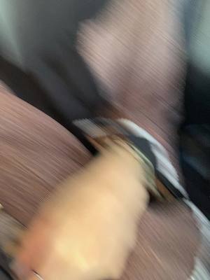 ⁣😜 #اكسبلورexplore #فولو #دويتو #CapCut @🦋🥀nofiii🥀🦋 @❤️ ᴢᴀɪɴ