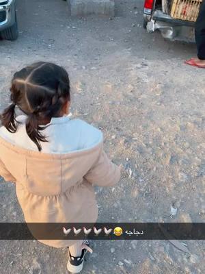 ⁣دجاجه 😂 #اكسبلور #viral #فهد_احمد #explore #اكسبلورexplore 