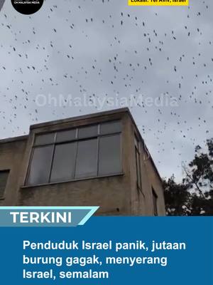⁣Penduduk Israel panik, jutaan burung gagak, menyerang Israel, semalam #trendingnewsmalaysia #beritad