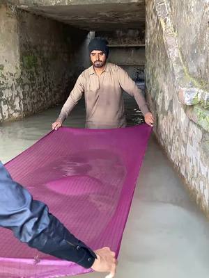 ⁣#for #foryou #foryoupage #viral #fish 