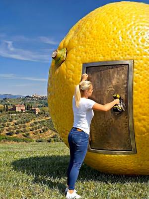 ⁣Turning a Giant Lemon Into a Tiny House 🍋 #construction #satisfyingvideos 