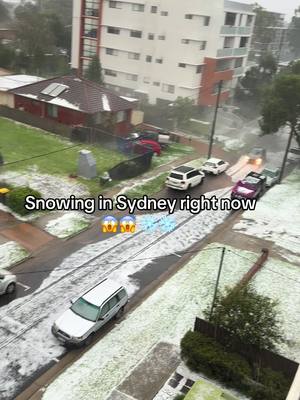 ⁣Never seen it before #snow #like #foryou #follow #fyp 