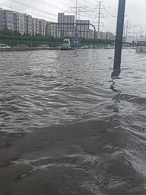 ⁣#viralvideo  #raininsharjah  #rain video  #fyp  #sharjahflood 