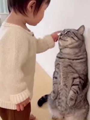 子供に怒られる猫ちゃん😂 この猫ちゃん反省してるのかな🥹 #癒し動画 #