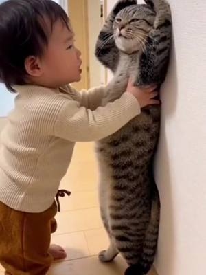 この猫ちゃん両脇ロックされて腕下ろせなくなっちゃってるよ😂、精一杯