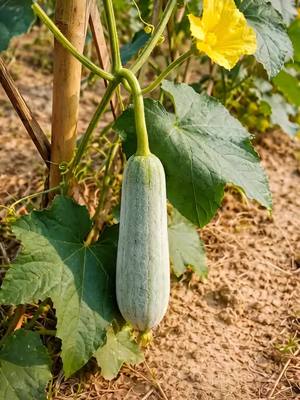 ⁣#USA   #UnitedStates   #UK   #London   #Germany   #Deutschland   #Romania   #Africa   #SouthAfrica  