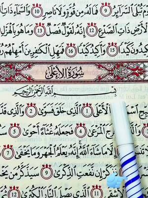 Récitation 28 Sourates complet #RecitationCoran #Tilawa #pourtoi #fyp 