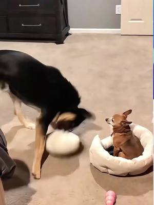 ⁣#prank #funny #funnyprank 😂🤣