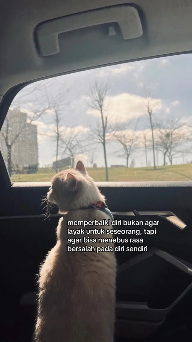 ⁣📍 Resep Membuat Cimol Bahan-bahan 1/2 kg tepung kanji 3 sdm tepung terigu 3 siung bawang putih 1 